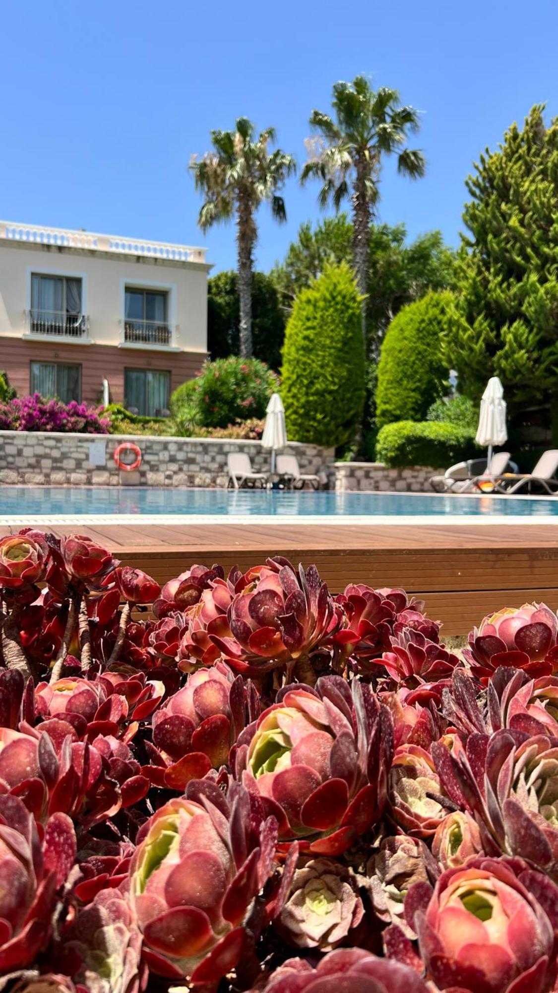 Antmare Hotel Alaçatı Zewnętrze zdjęcie